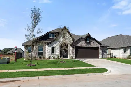 New construction Single-Family house 3221 Boat Landing Trl, Granbury, TX 76049 plan Carolina - image