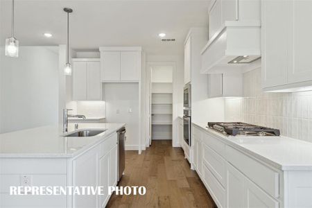 Painted Tree - South by Normandy Homes in McKinney - photo 17 17