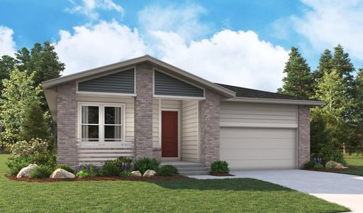 New construction Single-Family house 904 Steppe Ln, Windsor, CO 80550 null- photo 4 4