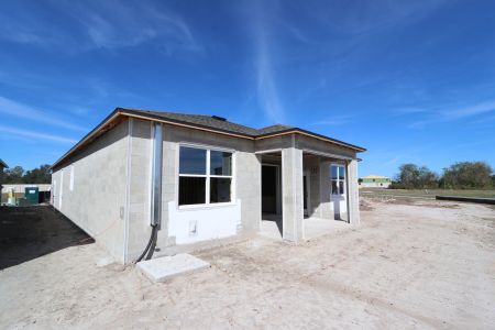 New construction Single-Family house 3150 Adams Cross Dr, Zephyrhills, FL 33540 Miranda- photo 47 47