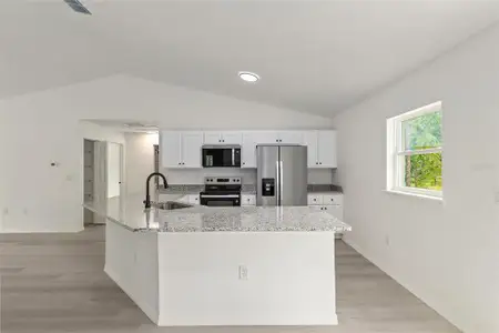 New construction Single-Family house 732 Sw Fig Tree Ln, Dunnellon, FL 34431 - image 3