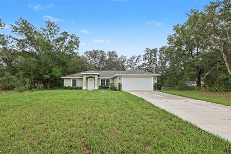 New construction Single-Family house 280 W Brimson Pl, Citrus Springs, FL 34434 - image