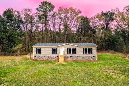 New construction Mobile Home house 151 Firethorn Ct, Eutawville, SC 29048 - image
