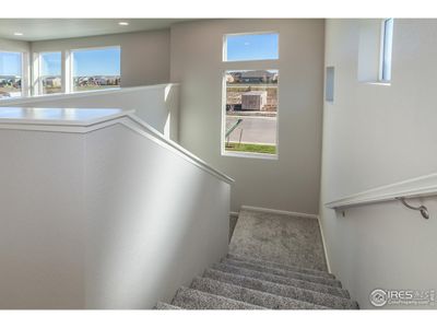 New construction Single-Family house 5409 Yancy St, Timnath, CO 80547 - image 14