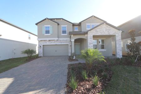 New construction Single-Family house 38326 Tobiano Loop, Dade City, FL 33525 Casanova- photo 133 133