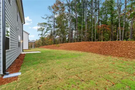 New construction Single-Family house 5384 Heron Bay Blvd, Locust Grove, GA 30248 Pearson- photo 63 63