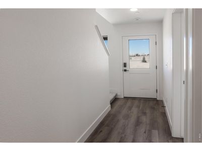 New construction Single-Family house 981 Trumpet Ln, Windsor, CO 80550 - image 18