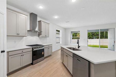 New construction Single-Family house 19709 Fort King Run, Brooksville, FL 34601 - image 8