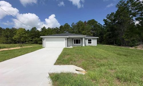 New construction Single-Family house 122 Malauka Lp, Ocklawaha, FL 32179 - image