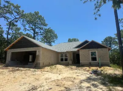 New construction Single-Family house 1816 W Hialeah Dr, Citrus Springs, FL 34434 - image