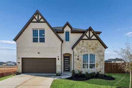 New construction Single-Family house 561 Chianti Dr, Weston, TX 75009 - image