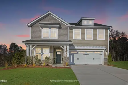 New construction Single-Family house 8701 Maxine St, Willow Spring, NC 27592 - image