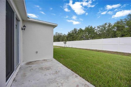 New construction Single-Family house 6703 Tortoise Trl, Parrish, FL 34219 - image