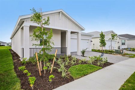New construction Single-Family house 16507 Settlers Wy, Punta Gorda, FL 33982 plan Dove - image