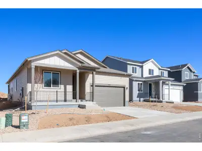 New construction Single-Family house 1454 Boyle St, Windsor, CO 80550 plan Charleston - image