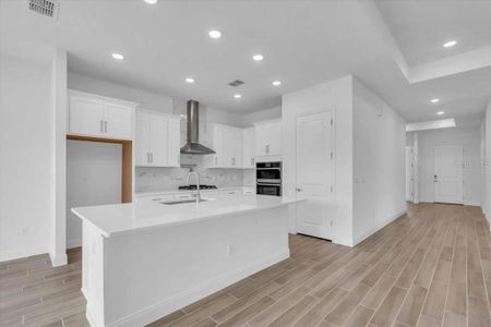 New construction Single-Family house 2515 Wise River Ln, Zephyrhills, FL 33539 - image 9