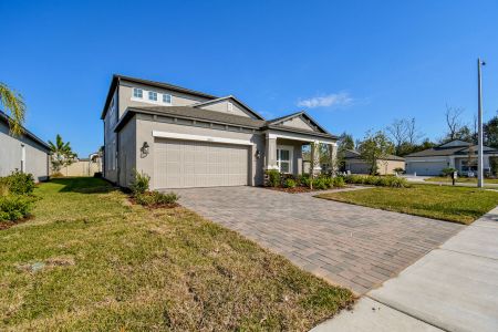 New construction Single-Family house 38471 Barrel Dr, Dade City, FL 33525 Picasso Bonus- photo 83 83