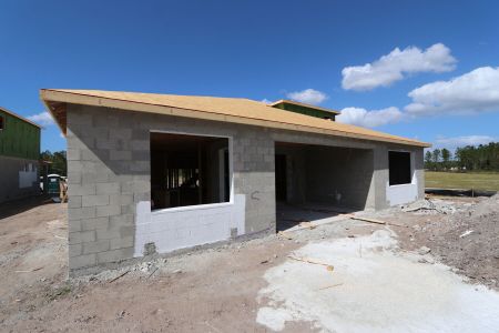 New construction Single-Family house 1906 Drummond Pt, Zephyrhills, FL 33541 Corina  III Bonus- photo 11 11