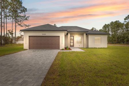 New construction Single-Family house 5100 Sw 155Th Lp, Ocala, FL 34473 - image