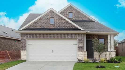 New construction Single-Family house 1628 Macadamia Ct, Aubrey, TX 76227 plan Statler - image