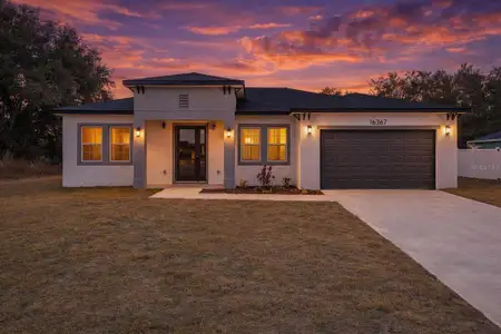 New construction Single-Family house 16367 Sw 16Th Ct, Ocala, FL 34473 - image