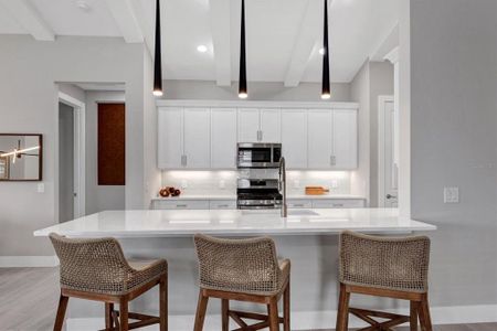 New construction Single-Family house 792 Blue Shell Lp, Sarasota, FL 34240 plan Cay - image 11