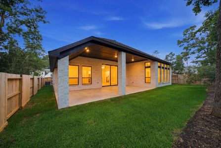 New construction Single-Family house 126 Stellar Hills Ct, Willis, TX 77318 plan 3865 - image 3