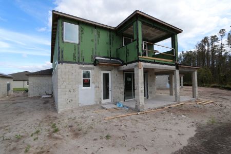 New construction Single-Family house 20131 Oriana Loop, Land O' Lakes, FL 34638 Sonoma II- photo 89 89