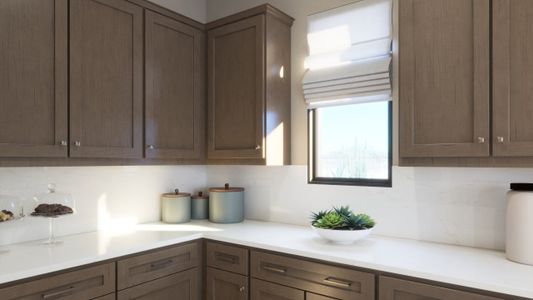 New construction Single-Family house Gold Canyon, AZ 85118 plan 1021 - image 11