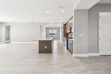 New construction Single-Family house 12505 White Blossom Ct, Parrish, FL 34219 plan Sapphire - image 7