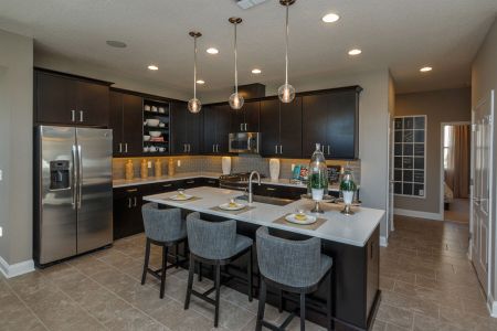 Lake Star At Ovation by M/I Homes in Winter Garden - photo 50 50