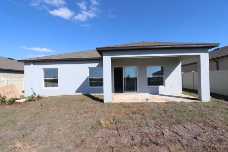 New construction Single-Family house 12263 Hilltop Farms Dr, Dade City, FL 33525 Sentinel- photo 81 81