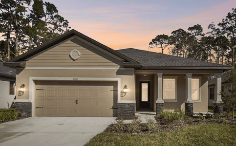 New construction Single-Family house 8201 Tilapia Pl, New Port Richey, FL 34654 plan Pompei - image