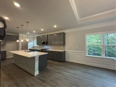 New construction Single-Family house 3370 Trevi Trl, Douglasville, GA 30135 plan Plan 2700 - image 5