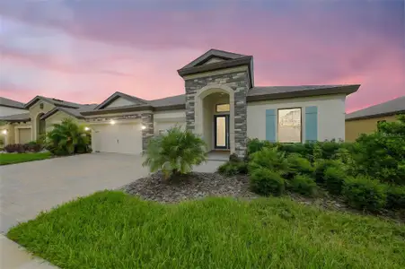 New construction Single-Family house 13211 Twin Bridges Dr, Riverview, FL 33579 plan Hyde Park III - image