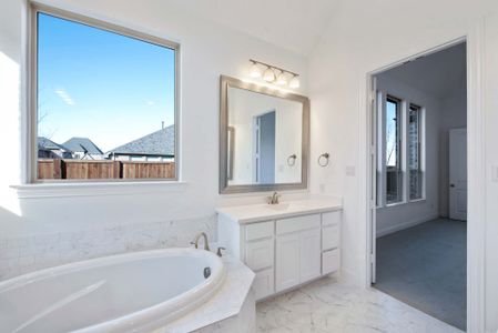 New construction Single-Family house 2036 Grey Birch Pl, Aledo, TX 76008 plan 217 - image 11