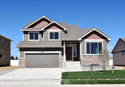 New construction Single-Family house 437 Vivid Lane, Windsor, CO 80550 - photo 0