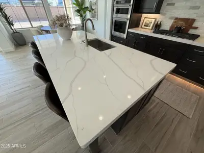 New construction Single-Family house 1173 E Palm Beach Dr, Chandler, AZ 85249 - image 3