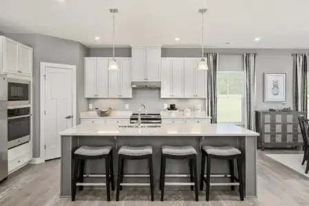 New construction Single-Family house 137 Lakeside Dr, Hertford, NC 27944 plan Savannah 2-Story - image