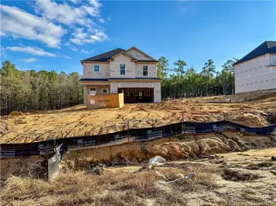 New construction Single-Family house 1128 Alex Baker Rd, Raeford, NC 28376 - image