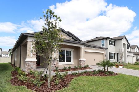 New construction Single-Family house 33227 Amling Pecan Br, Wesley Chapel, FL 33545 Newport II- photo 68 68