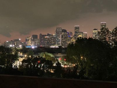 New construction Single-Family house 3502 Saltus St, Houston, TX 77003 - image