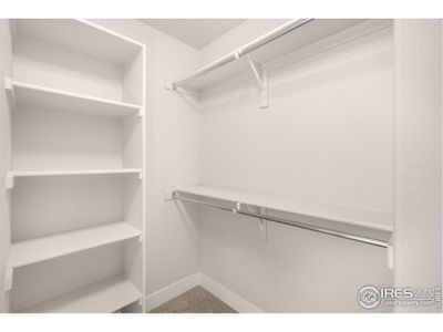 New construction Single-Family house 6997 Feather Reed Dr, Wellington, CO 80549 - image 10