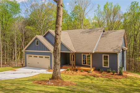 New construction Single-Family house 135 Rocky Branch Dr, Murrayville, GA 30564 - image