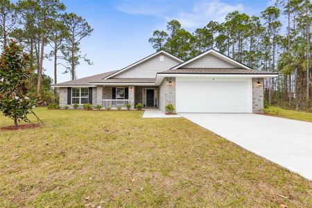 New construction Single-Family house 14 Squanto Pl, Palm Coast, FL 32164 null- photo 0