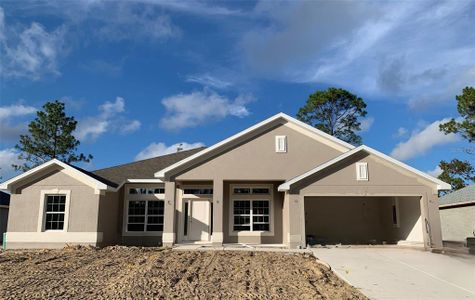 New construction Single-Family house 2173 W Say Dr, Dunnellon, FL 34434 - image