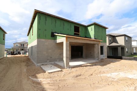 New construction Single-Family house 12146 Hilltop Farms Dr, Dade City, FL 33525 Cabo- photo 13 13