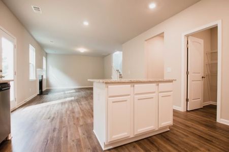 New construction Single-Family house 3844 Ball Ground Hwy, Canton, GA 30114 plan Turnbridge - image 8