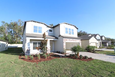 New construction Single-Family house 12008 Hilltop Farms Dr, Dade City, FL 33525 Alenza- photo 102 102