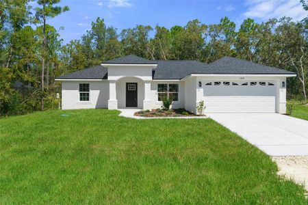 New construction Single-Family house 13259 Trapper John Road, Weeki Wachee, FL 34614 - photo 0